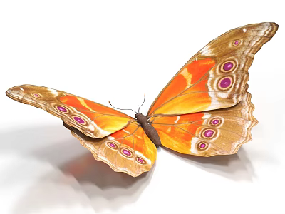 Butterfly Colored Butterfly Tabby Butterfly Leaf Butterfly 3d model