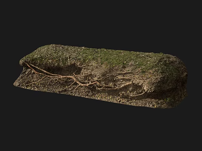 Garden Landscape With Moss Covered Rock And Exposed Tree Roots Design 3d model