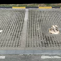 Urban Road Facilities With Grid Patterned Pavement Blue Traffic Sign And Manhole Cover