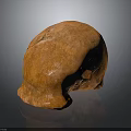 Detailed Orange Animal Skull With Natural Textured Surface On Dark Background