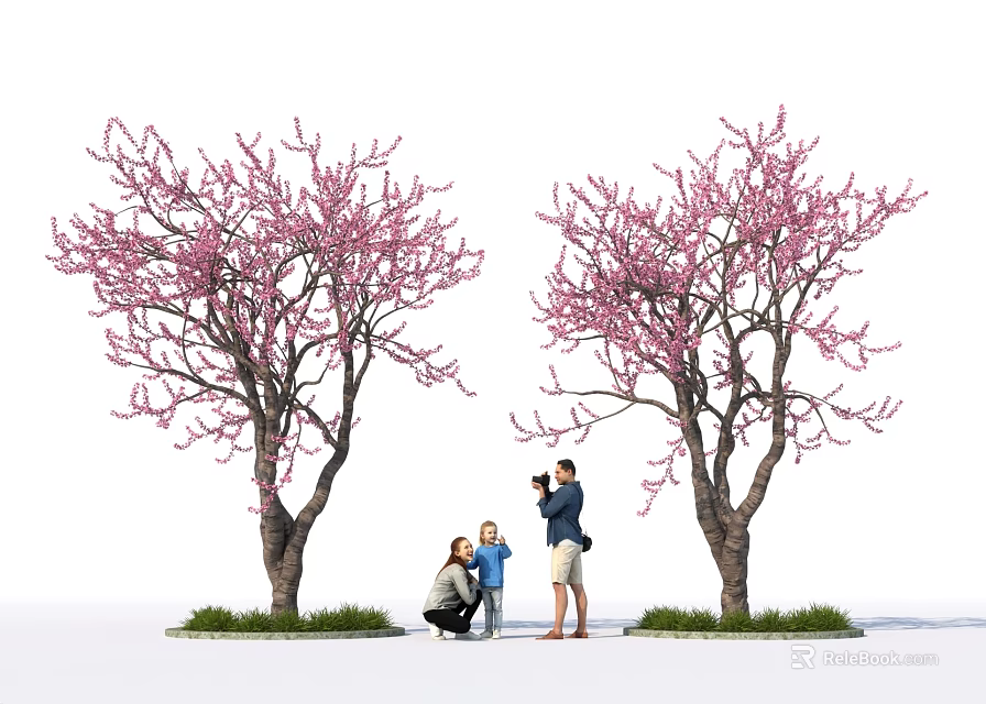 Trees Bearing Pink Blossoms and Family Capturing Moments Underneath in Outdoor Scene 3d model 