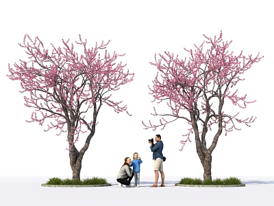 Trees Bearing Pink Blossoms and Family Capturing Moments Underneath in Outdoor Scene 3d model