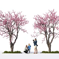 Trees Bearing Pink Blossoms and Family Capturing Moments Underneath in Outdoor Scene