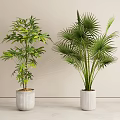 Potted Plants with Different Green Leaves in White Planters Against Light Wall and Floor
