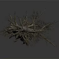 Dead Tree With Thick Trunk And Dry Branches And No Leaves Isolated On White Background