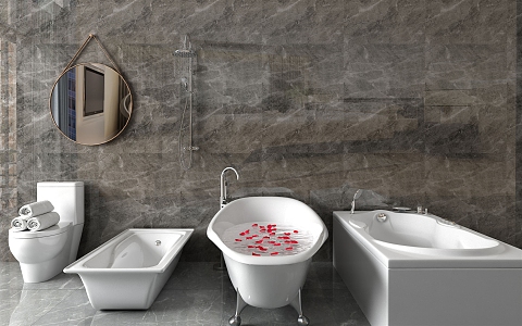 Modern Bathtub Sanitary Products Mirror Toilet Bathtub Shower 3d model