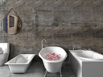 Modern Bathtub Sanitary Products Mirror Toilet Bathtub Shower 3d model