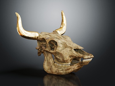 modern cow skull bull head animal skeleton 3d model