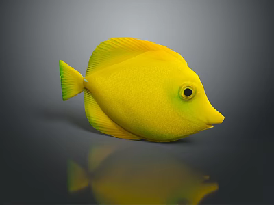 Bright Yellow Fish with Green Edged Tail and Eye Area on Grey Background with Reflection 3d model