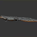 Lizard Anime Lizard Chameleon Cartoon Lizard Reptile Cold Blooded Animal Reptile Class 3d model