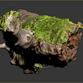 Rustic Wood Stone Branch Featuring Green Moss Natural Texture And Dark Background Reflection 3d model