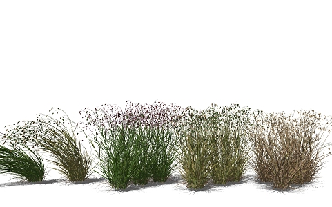 grass mound weeds grassland 3d model