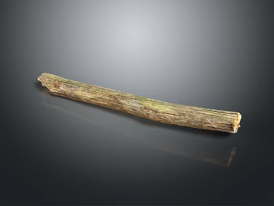 Natural Tree Trunk Plant with Weathered Texture and Brown Green Hues on Dark Reflective Surface 3d model