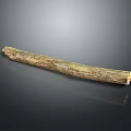 Natural Tree Trunk Plant with Weathered Texture and Brown Green Hues on Dark Reflective Surface