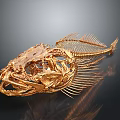 Highly Detailed Golden Fish Skeleton Showing Organ Structure And Bone Features