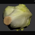 Fresh Whole Green and Yellow Lettuce with Crisp Leaves on Dark Reflective Surface