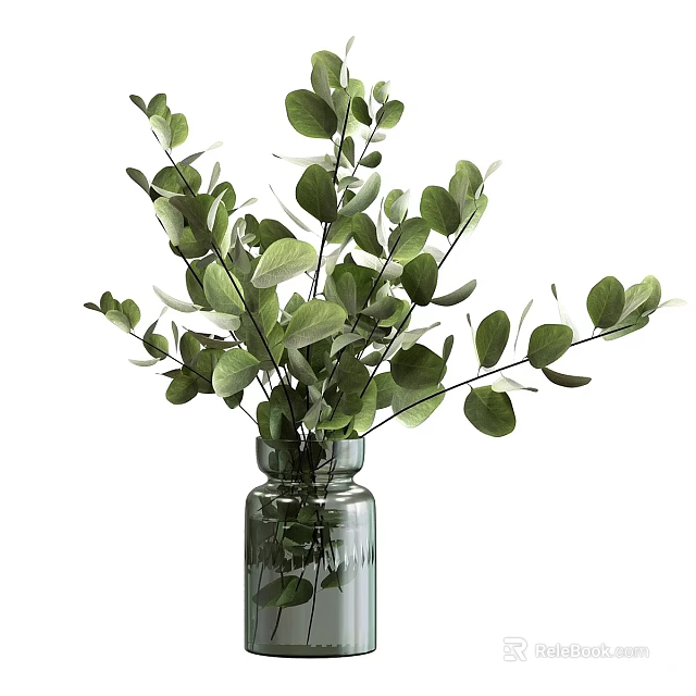 Indoor Potted Plant in Transparent Glass Vase with Lush Green Eucalyptus Leaves and Intertwined Branches 3d model 