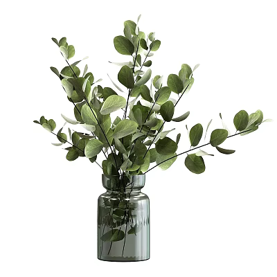 Indoor Potted Plant in Transparent Glass Vase with Lush Green Eucalyptus Leaves and Intertwined Branches 3d model