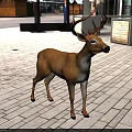 Brown Deer With Antlers Standing On Green Background In Side Profile View