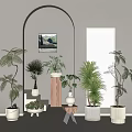 Net red plant potted combination 3d model