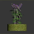 Decorative Plant With Green Leaves And Purple Flowers On Round Grassy Pedestal