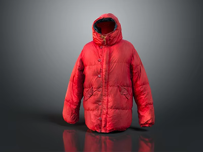 Stylish Red Hooded Down Jacket With Warm Puffer Design And Practical Pockets 3d model