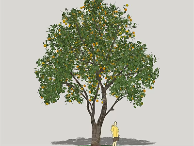 Lush Fruit Bearing Tree With Green Leaves And Person In Yellow Clothing 3d model