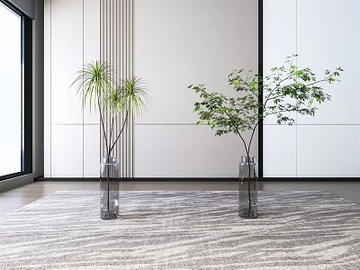 Transparent Glass Vases Holding Green Plants In Modern Interior With Large Windows And Gray Carpet 3d model