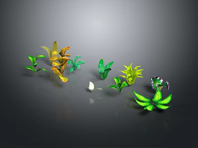 Colorful Decorative Plants With Various Leaf Shapes And Green Yellow Leaves On Dark Background 3d model