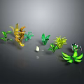 Colorful Decorative Plants With Various Leaf Shapes And Green Yellow Leaves On Dark Background