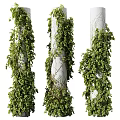 White Decorative Columns Covered With Lush Green Ivy Vines And Foliage