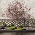 Blooming Pink Flower Tree With Bamboo Fence Gray Wall And Stone Decorations Near Water Surface