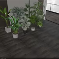 Various Indoor Potted Plants With Lush Leaves In Different Pots On Wooden Floor