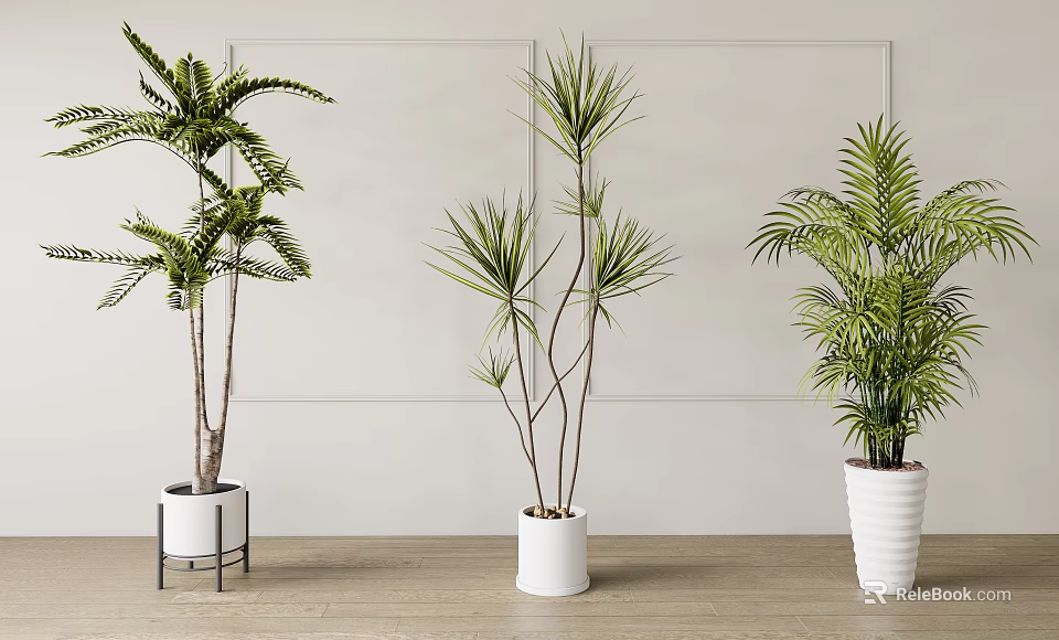 Indoor Potted Plants With Various Leafy Types In White Pots On Wooden Floor 3d model 