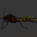 Vibrant Yellow And Orange Butterfly With Black Edged Wings On Dark Background