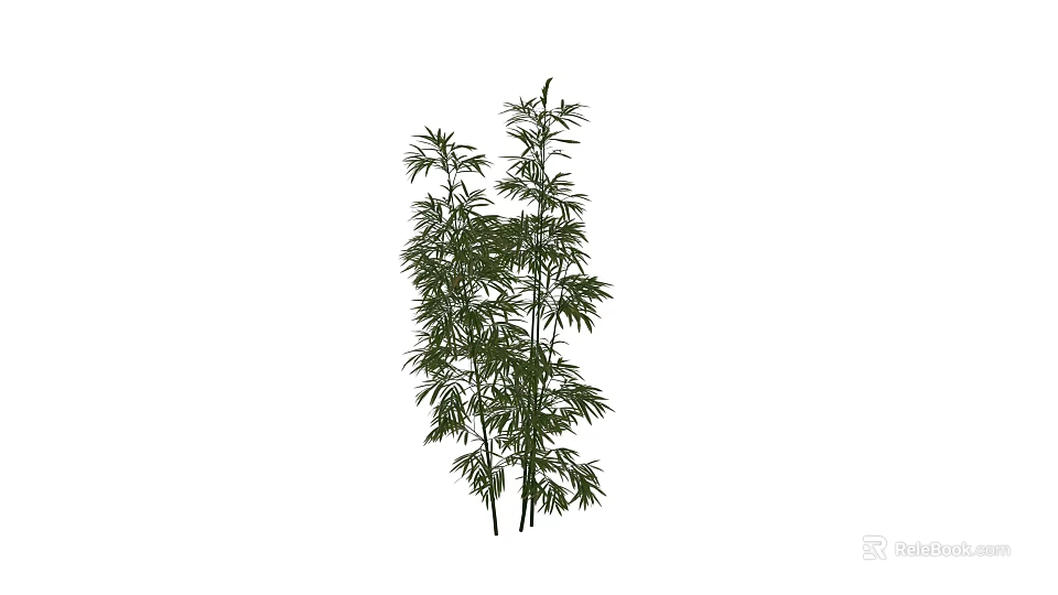 Bamboo Bonsai Potted Plant With Green Leaves And Tall Stems For Home Decoration 3d model 