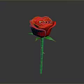 Vibrant Red Rose Plant with Green Stem and Fresh Leaves on Gray Background