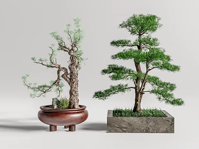 Artistic Bonsai Trees In Decorative Brown Ceramic And Square Stone Pots With Lush Green Foliage 3d model