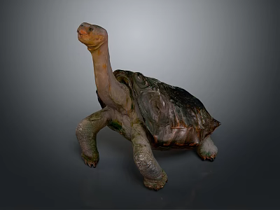 Detailed Realistic 3D Turtle Model With Lifelike Texture And Pose 3d model
