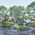 Garden Landscape Design With Various Trees Red Maple Green Shrubs Stone Pathway And Lawn