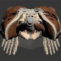 Human Head Organs Anatomical Structure 3D Render Model With Detailed Muscular View