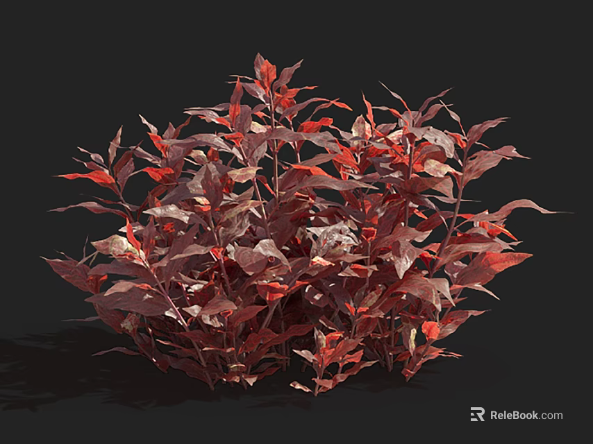 Aquatic Plants With Vibrant Red And Purple Leaves In Lush Clustered Growth 3d model 