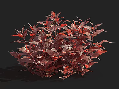 Aquatic Plants With Vibrant Red And Purple Leaves In Lush Clustered Growth 3d model