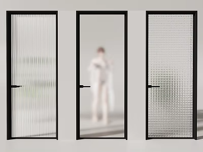 Modern Black Frame Swing Doors With Frosted Clear And Textured Glass Panels 3d model