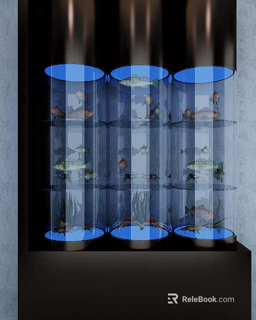 Cylindrical Fish Tanks with Colorful Fish Aquatic Plants and Crabs in Indoor 3d model 
