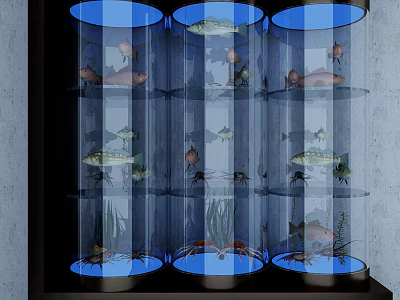 Cylindrical Fish Tanks with Colorful Fish Aquatic Plants and Crabs in Indoor 3d model