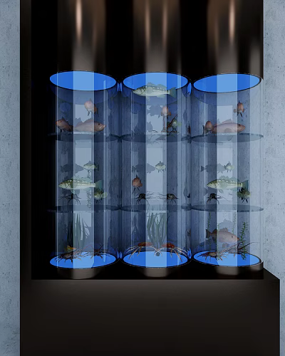 Cylindrical Fish Tanks with Colorful Fish Aquatic Plants and Crabs in Indoor 3d model
