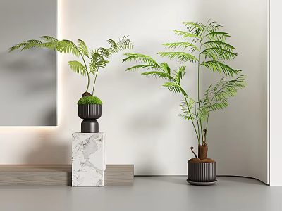 Green Potted Plants On Marble Base And Black Pot In Modern Interior With White Mirror 3d model