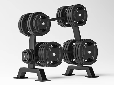 Black Dumbbell Rack With Stacked Weight Plates And Multiple Dumbbells For Fitness Gym Equipment 3d model