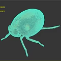 Reddish Brown Beetle With Yellow Spots And Orange Legs On Dark Background